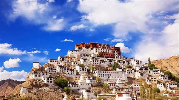 Best Cultural Tours Of Ladakh