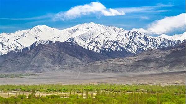 Why Ladakh Is A Paradise For Nature Lovers