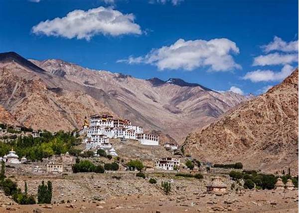 Best Guided Tours Of Ladakh This Year