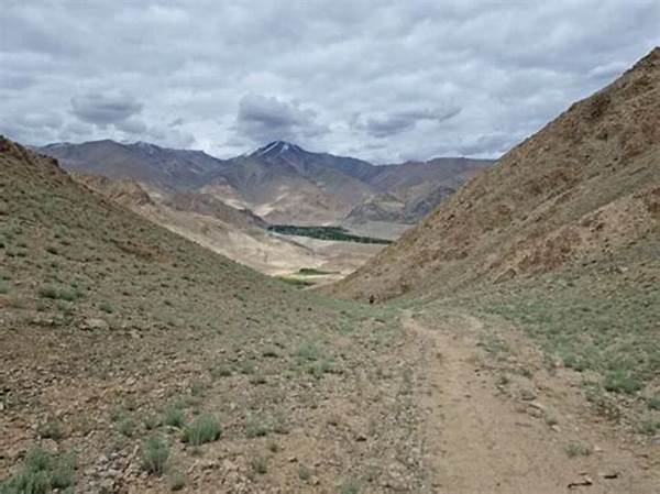 Best Hiking Trails Near Leh