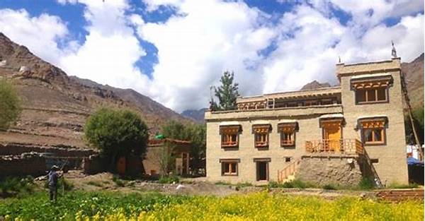 Best Homestay Experiences In Ladakh