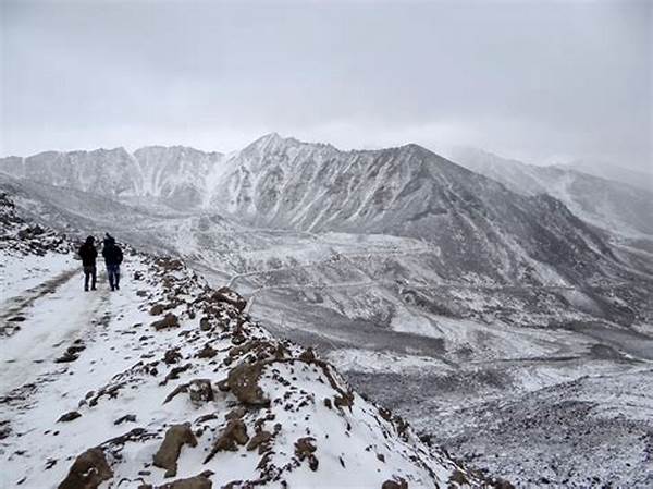 How To Do Snow Leopard Trek In Ladakh