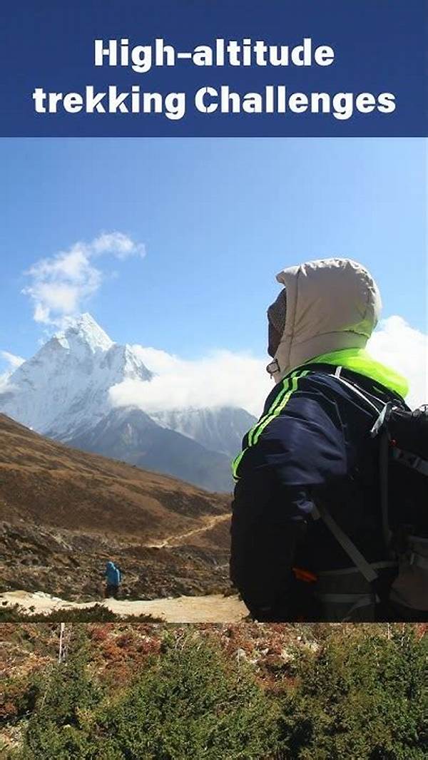 How To Overcome Altitude Challenges In Trekking