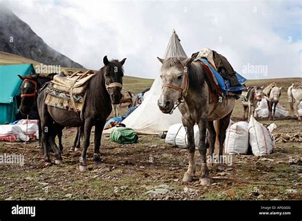 How To Pack For Trekking In Ladakh