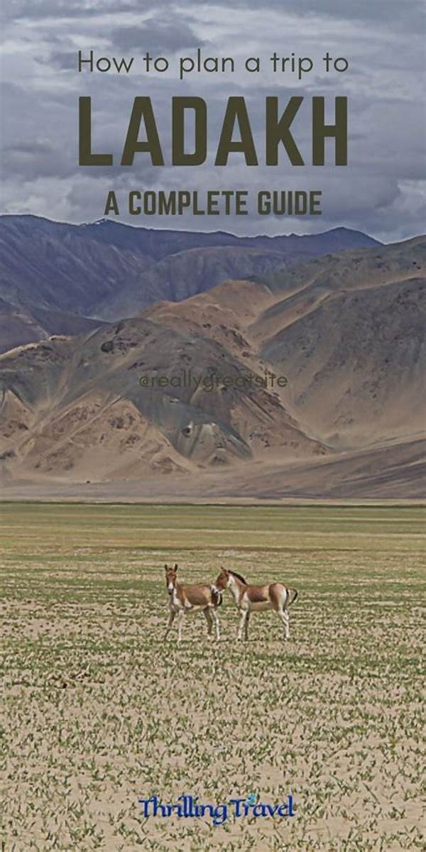 How To Plan A Perfect Ladakh Itinerary In 7 Days