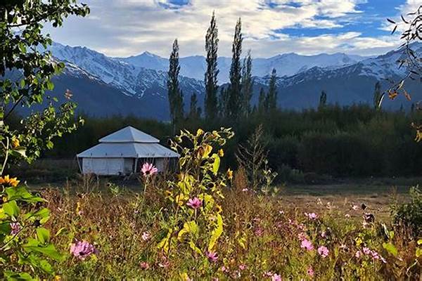 Why Adventure Photographers Love Ladakh