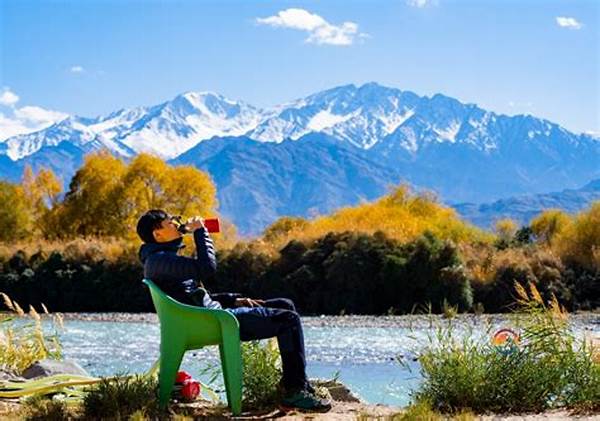 Why Digital Nomads Are Exploring Ladakh