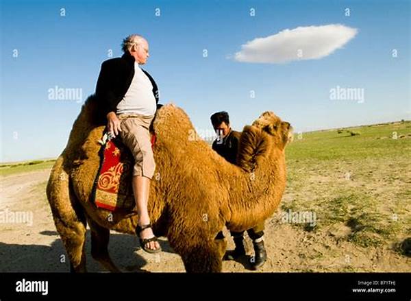 The Double Hump Camel Ride: The Best Time To Book Your Safari In Nubra Valley For Max Comfort!