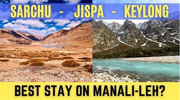 The First Night Rule: Why Staying In Leh Town For The First 48 Hours Is Non-negotiable!