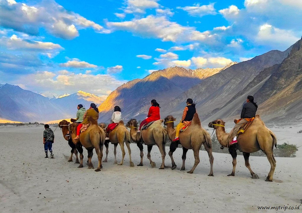 Panduan ke Lembah Nubra, Surga Tersembunyi di Himalaya yang Bikin Siapa Pun Terpesona