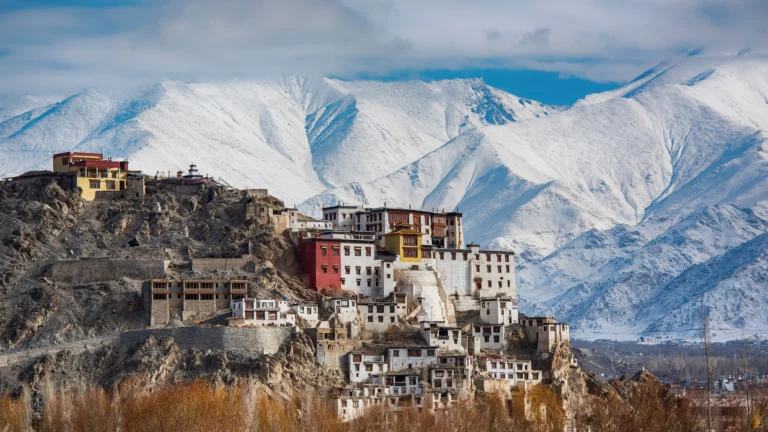 Jangan Sampai Salah Pilih! 7 Tips Paket Tour Ladakh Terpercaya Biar Liburan Makin Aman dan Nyaman